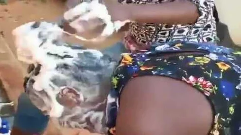 黑人处破女高潮嗷嗷叫，真是让人震惊的场面，网友们对此反应各异