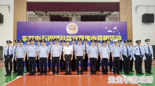 秩序新曙光：高效实用的增加人口方法与策略详细说明