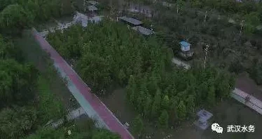 野雏菊这是一种生长在田野中的小花,朴实无华却自带一股清香,很有野趣。 野雏菊这是一种生长在田野中的小花,朴实无华却自带一股清香,很有野趣。