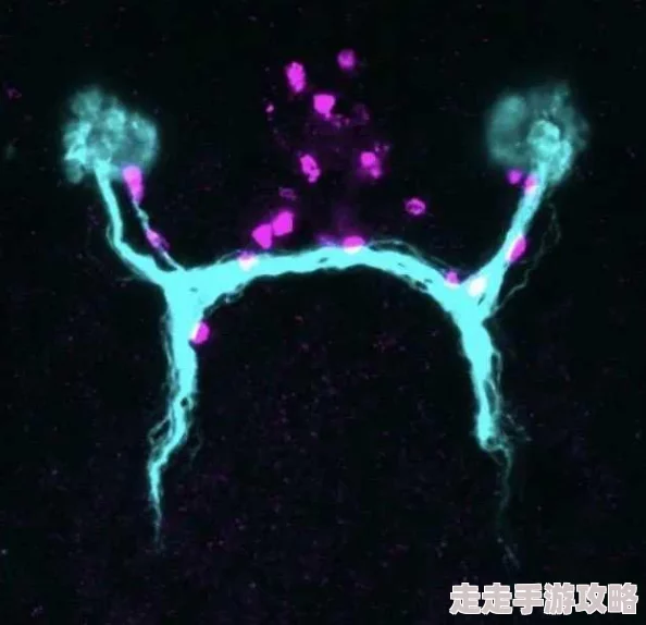 啊啊啊嗯嗯嗯科学家发现新型可再生能源技术有望改变未来能源格局